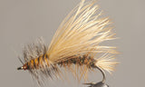 STIMULATEURS BLANCHIS
