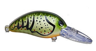 Bomber Model A Crankbait 1/2 Bobber Bargain