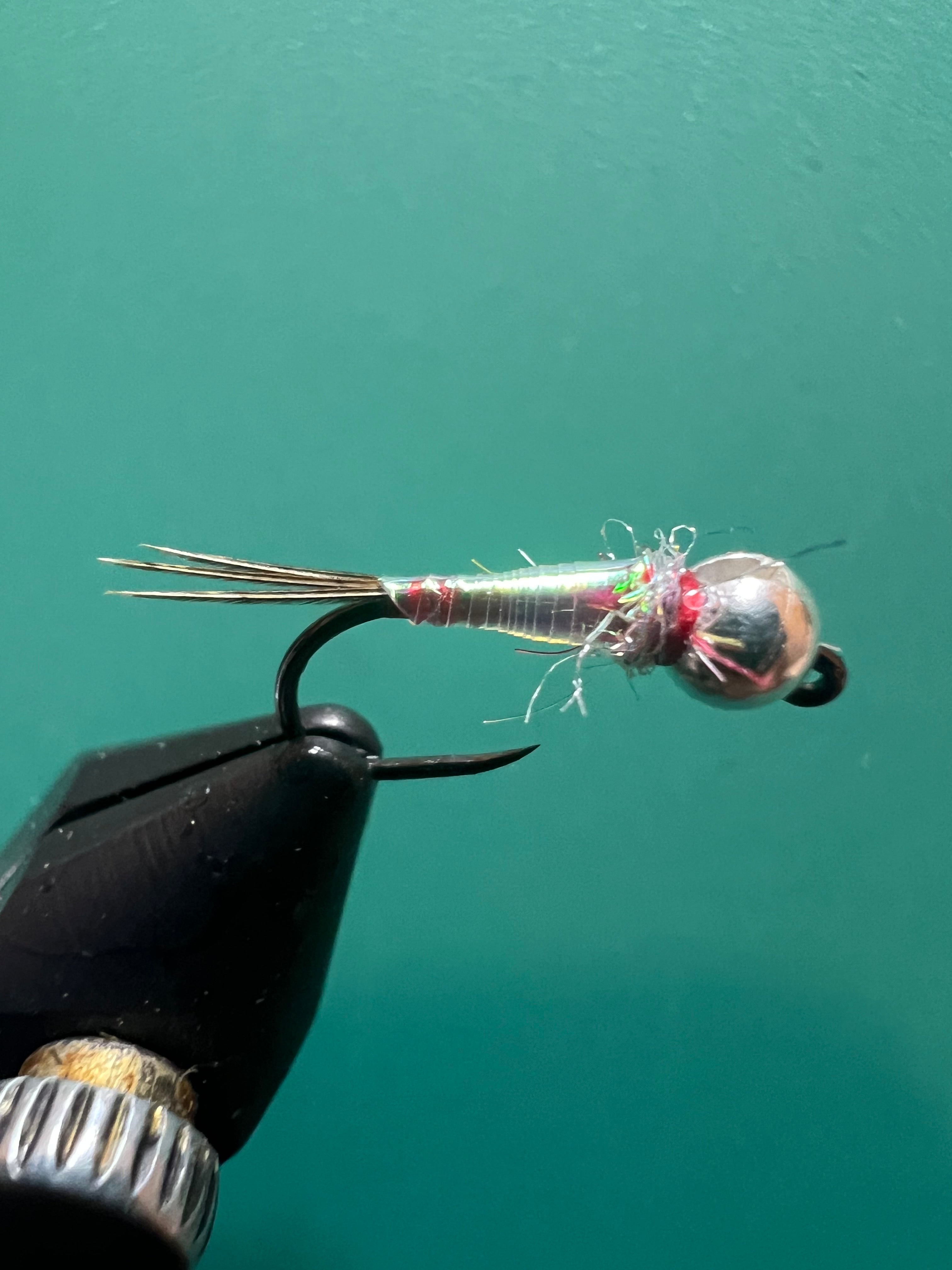 Rainbow Warrior - Perle