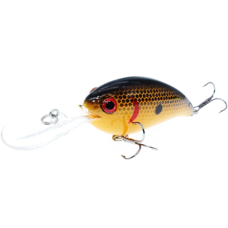 Chroma Chaser Fishing Lure Bobber Bargain