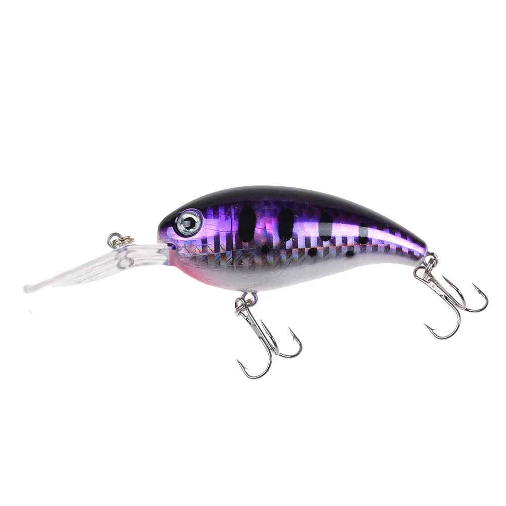 Chroma Chaser Fishing Lure Bobber Bargain