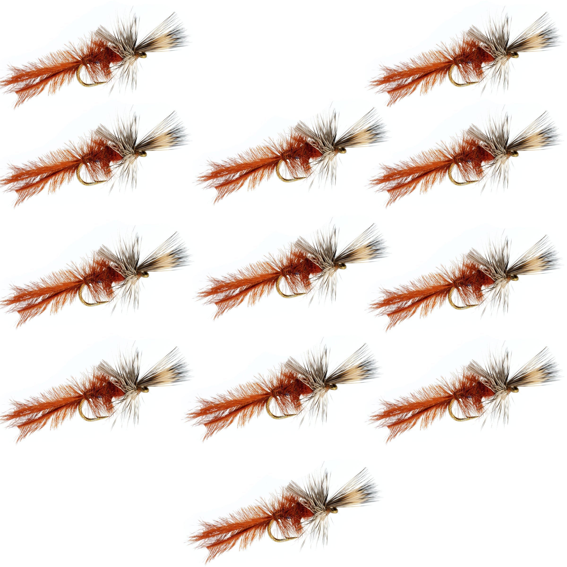 Efímera Callibaetis Lisiada 12 Moscas Anzuelo del tamaño 16