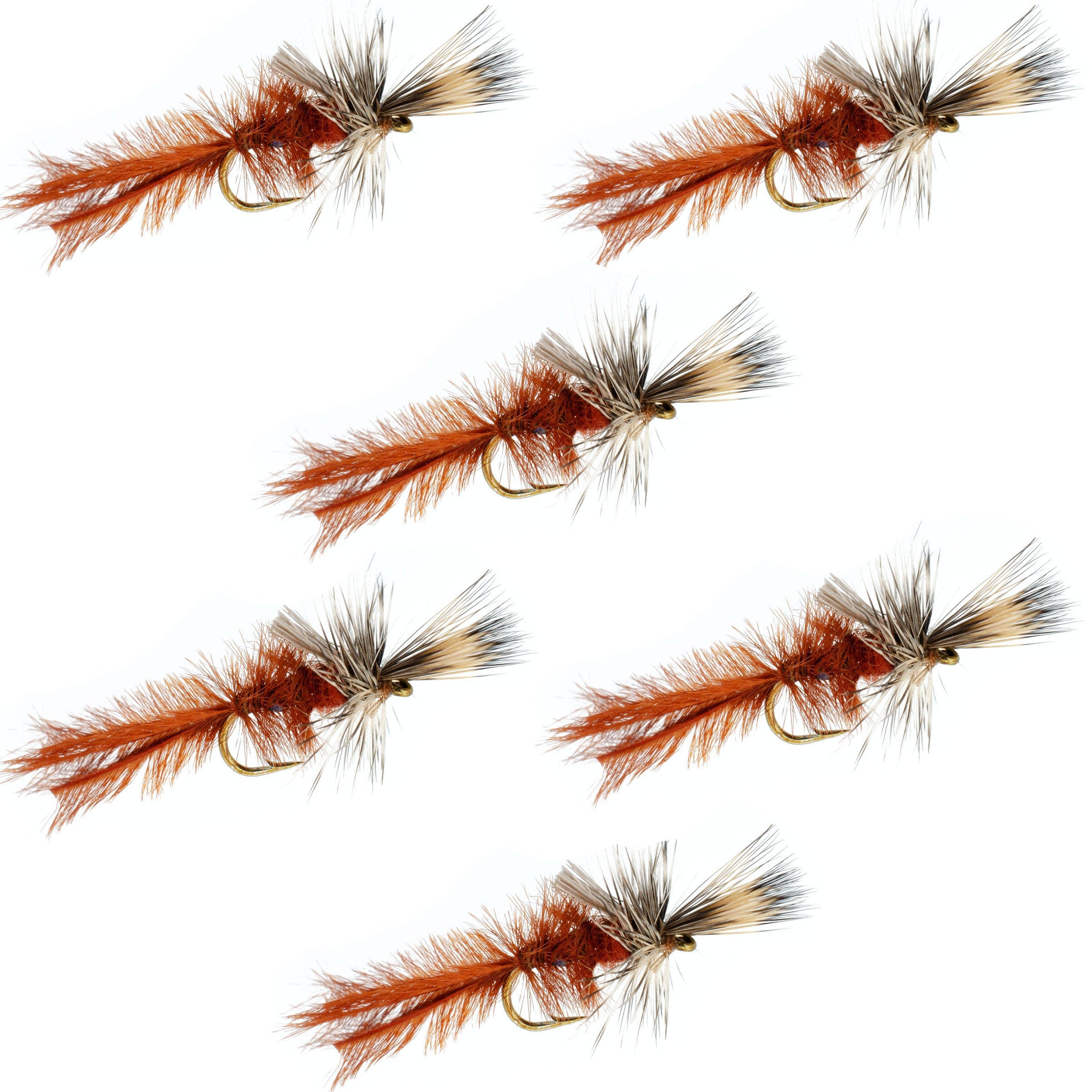 Callibaetis Cripple Mayfly 6 Moscas Anzuelo Tamaño 16