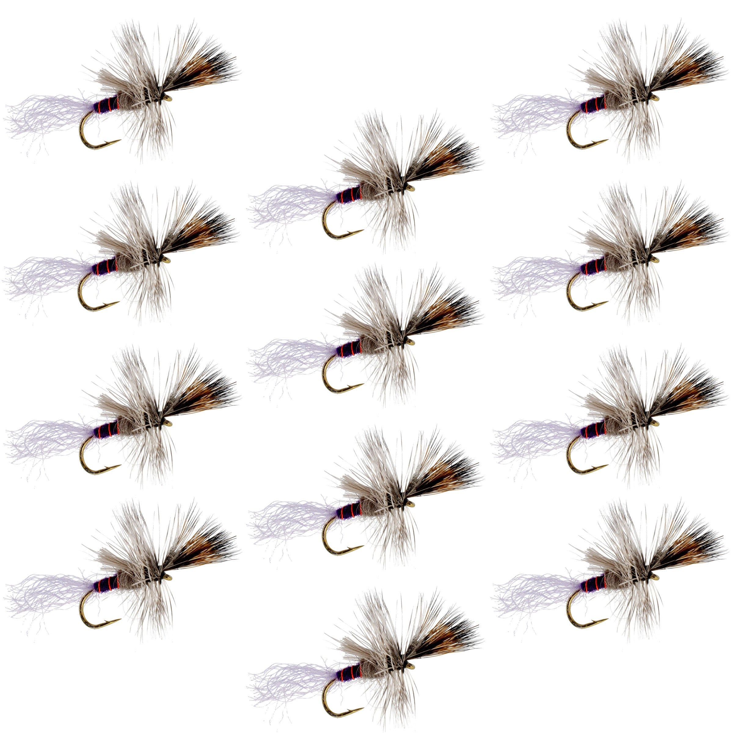 Purple Haze Cripple Mayfly 12 Mouches Taille Hameçon 16