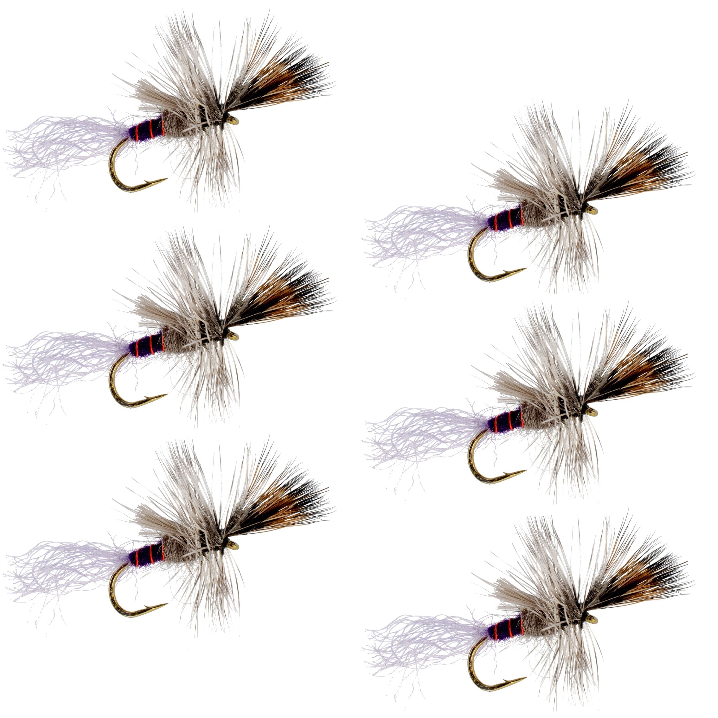 Purple Haze Cripple Mayfly 6 Mouches Hameçon Taille 14