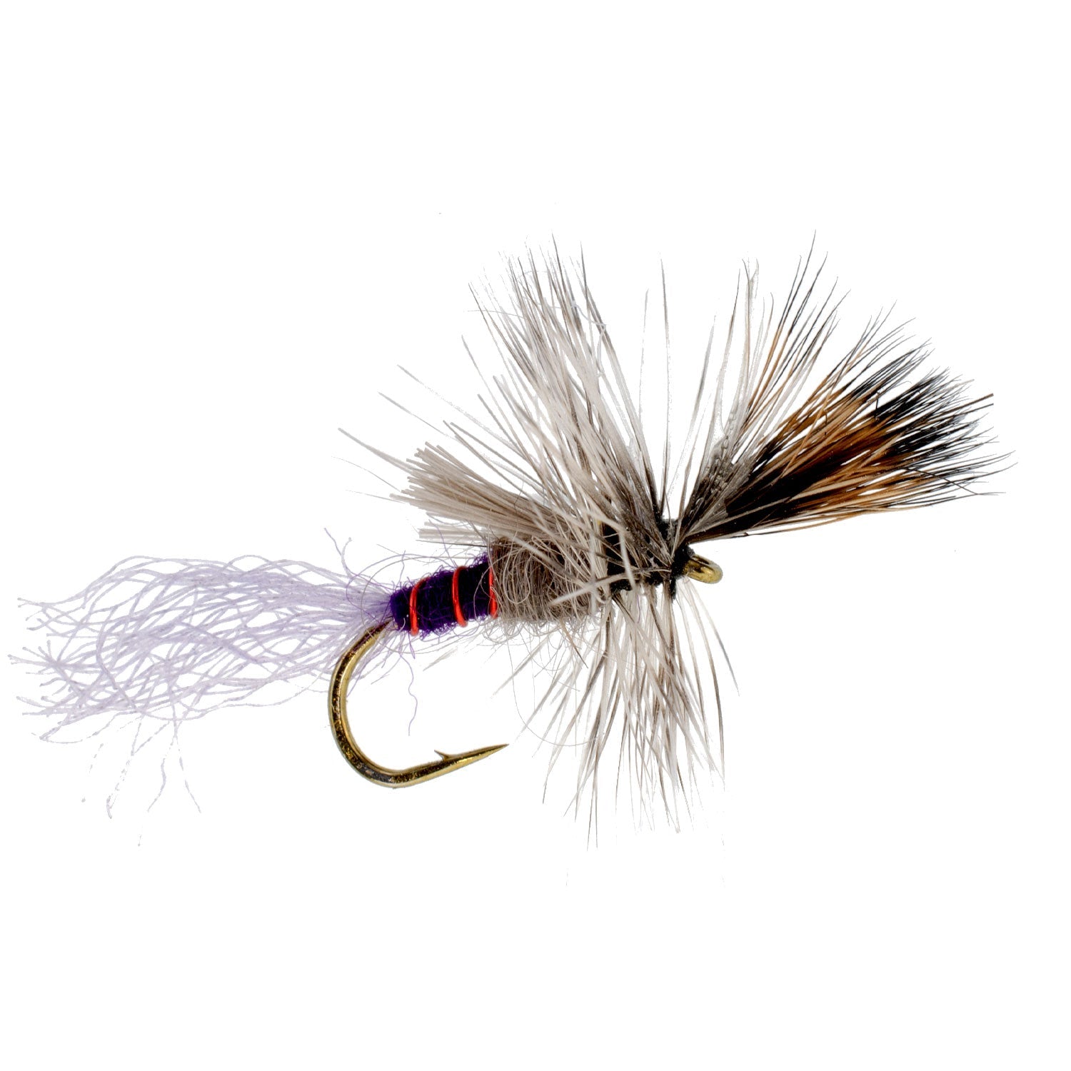 Criquet Purple Haze 12 mouches Taille d'hameçon 18