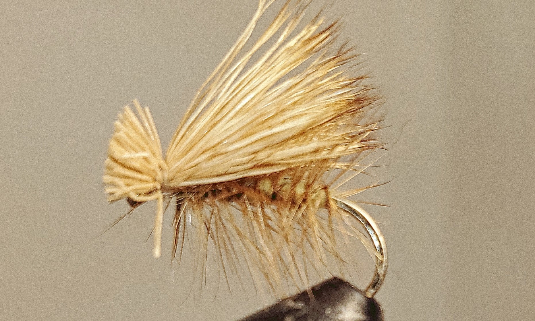 Elk Hair Caddis - 8 couleurs !