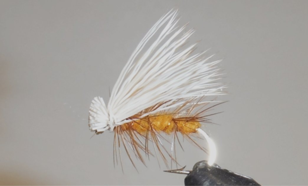 Elk Hair Caddis - 8 couleurs !