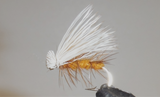 Elk Hair Caddis - 8 couleurs !