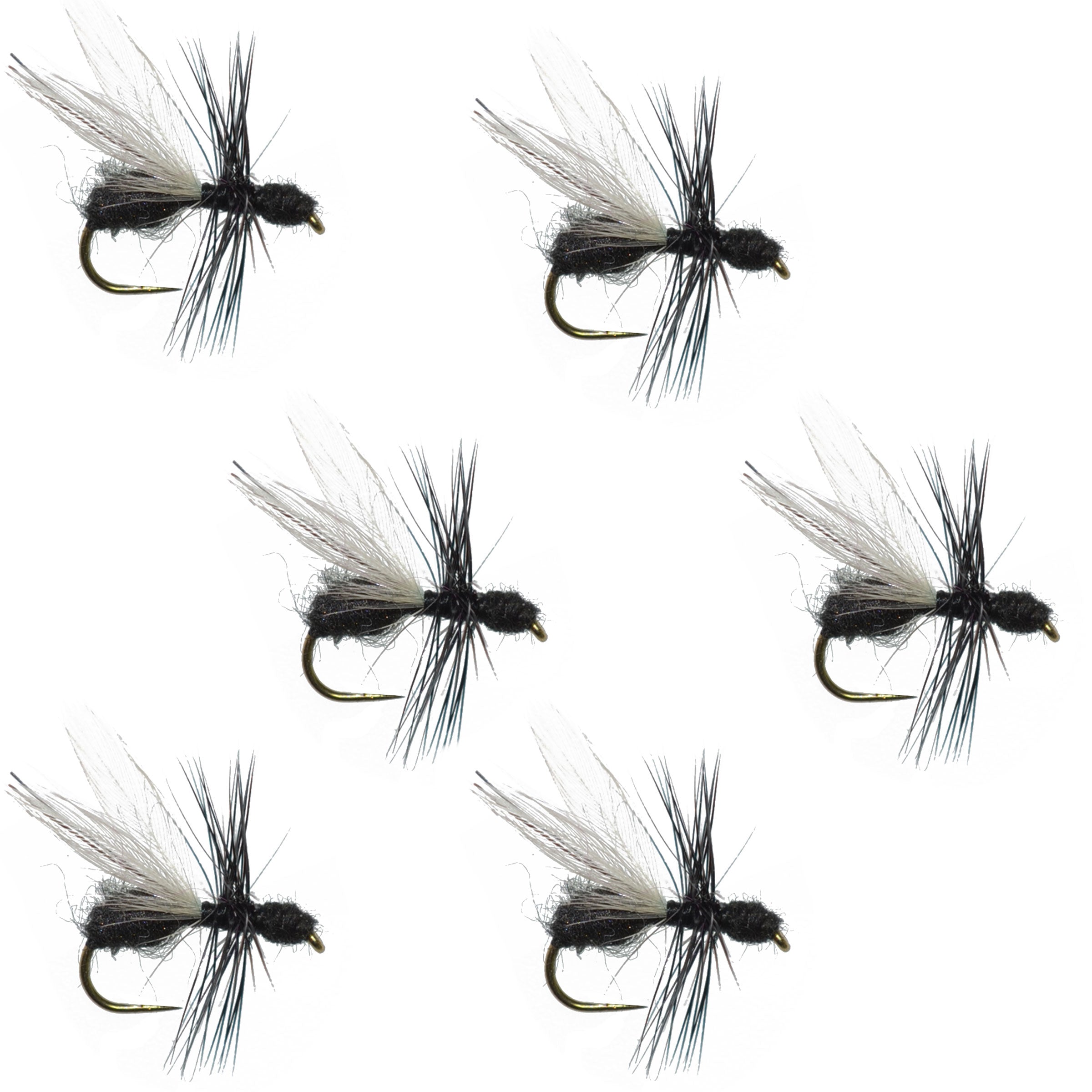 Mouche sèche terrestre pour la truite Black Fur Flying Ant - 6 mouches Hameçon taille 16