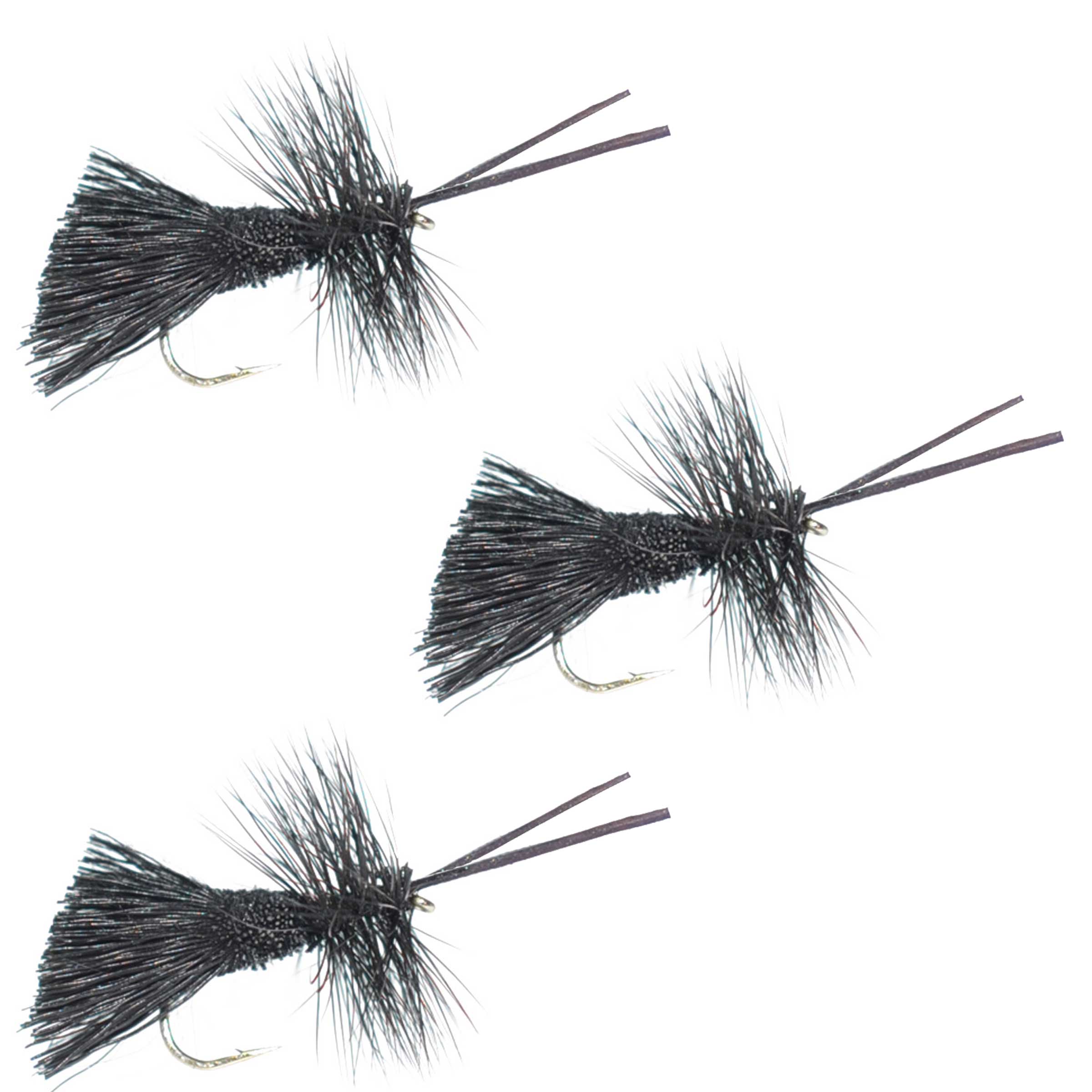 Paquete de 3 moscas secas Goddard Caddis negras - Tamaño de anzuelo 16