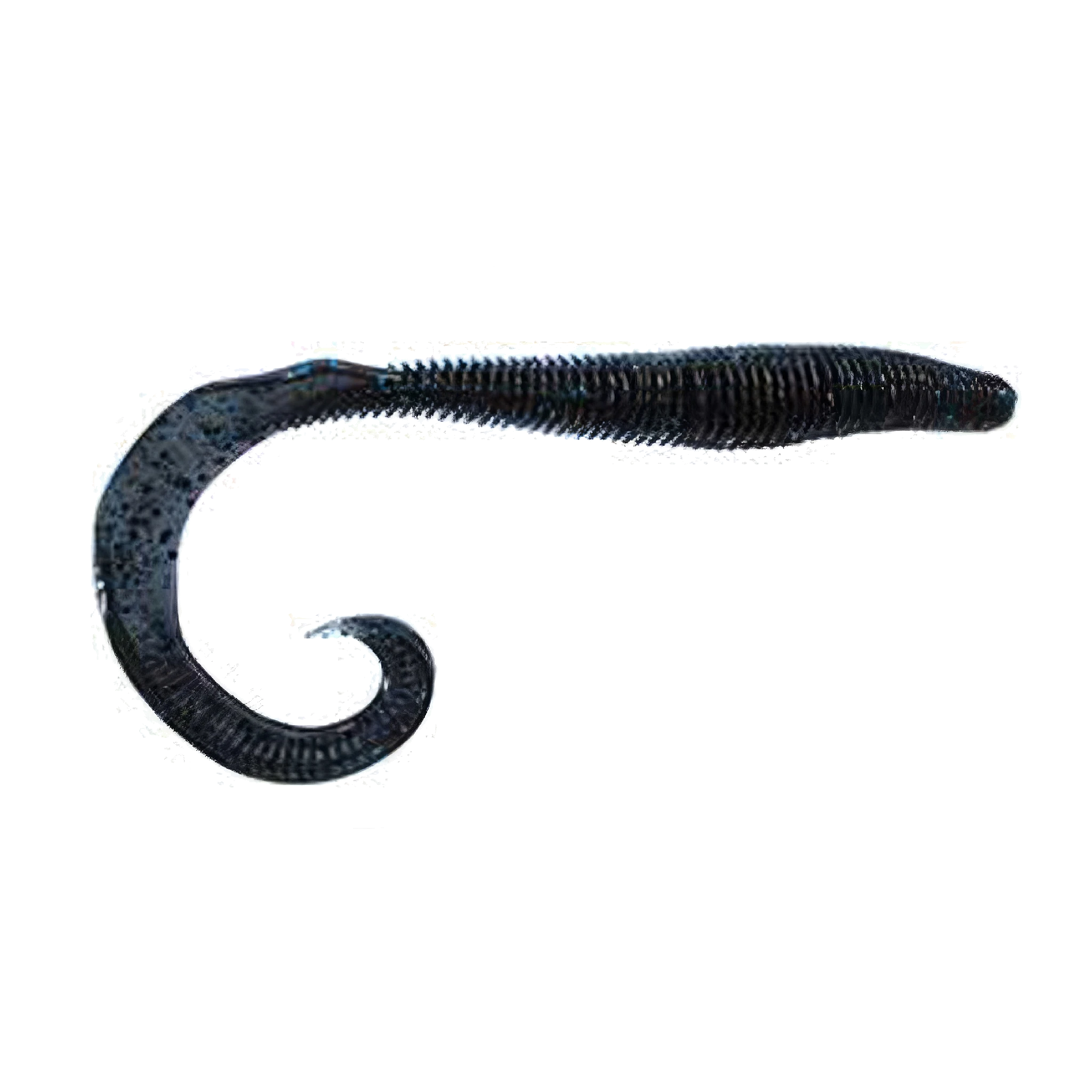 Megatail Rattlesnake