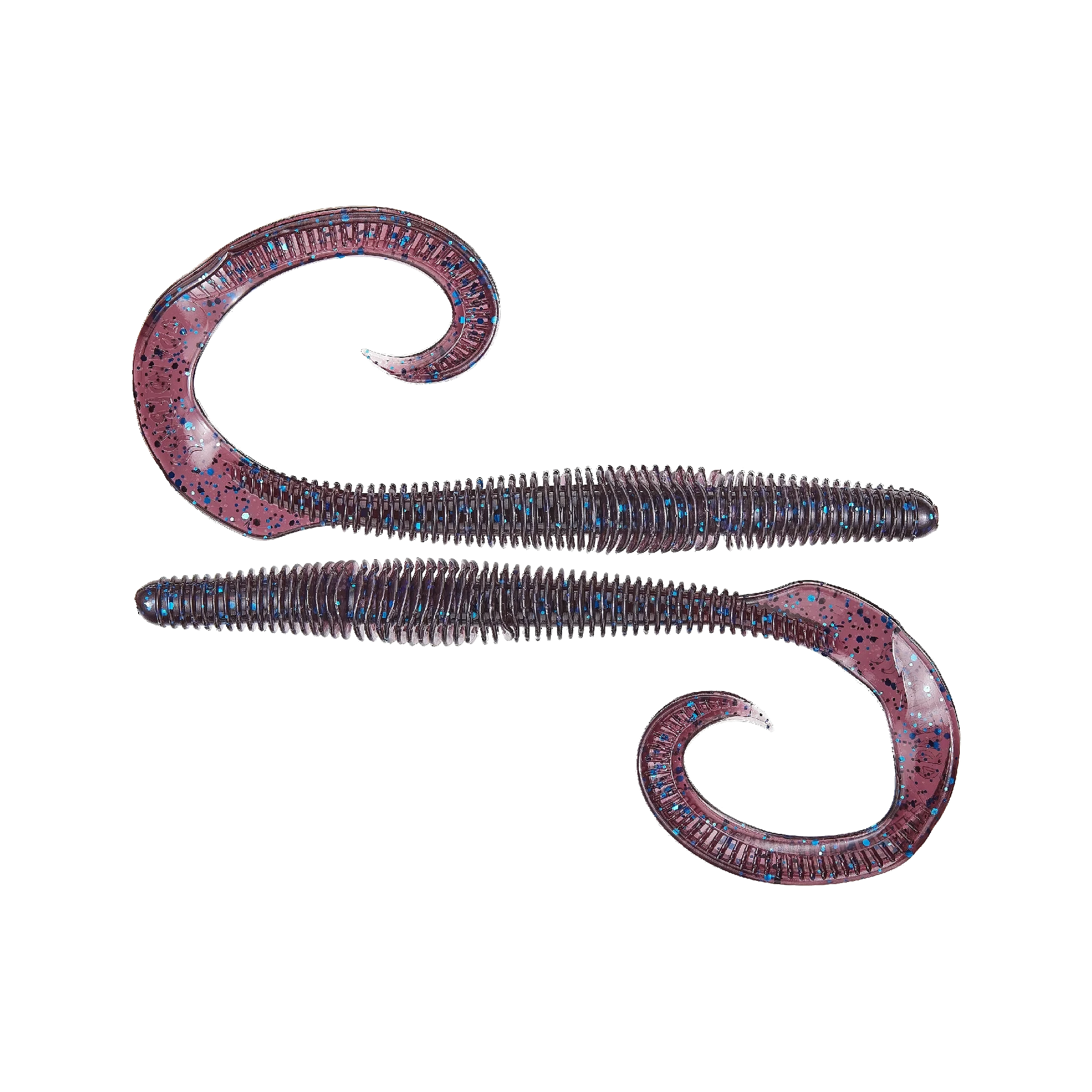 Megatail Rattlesnake