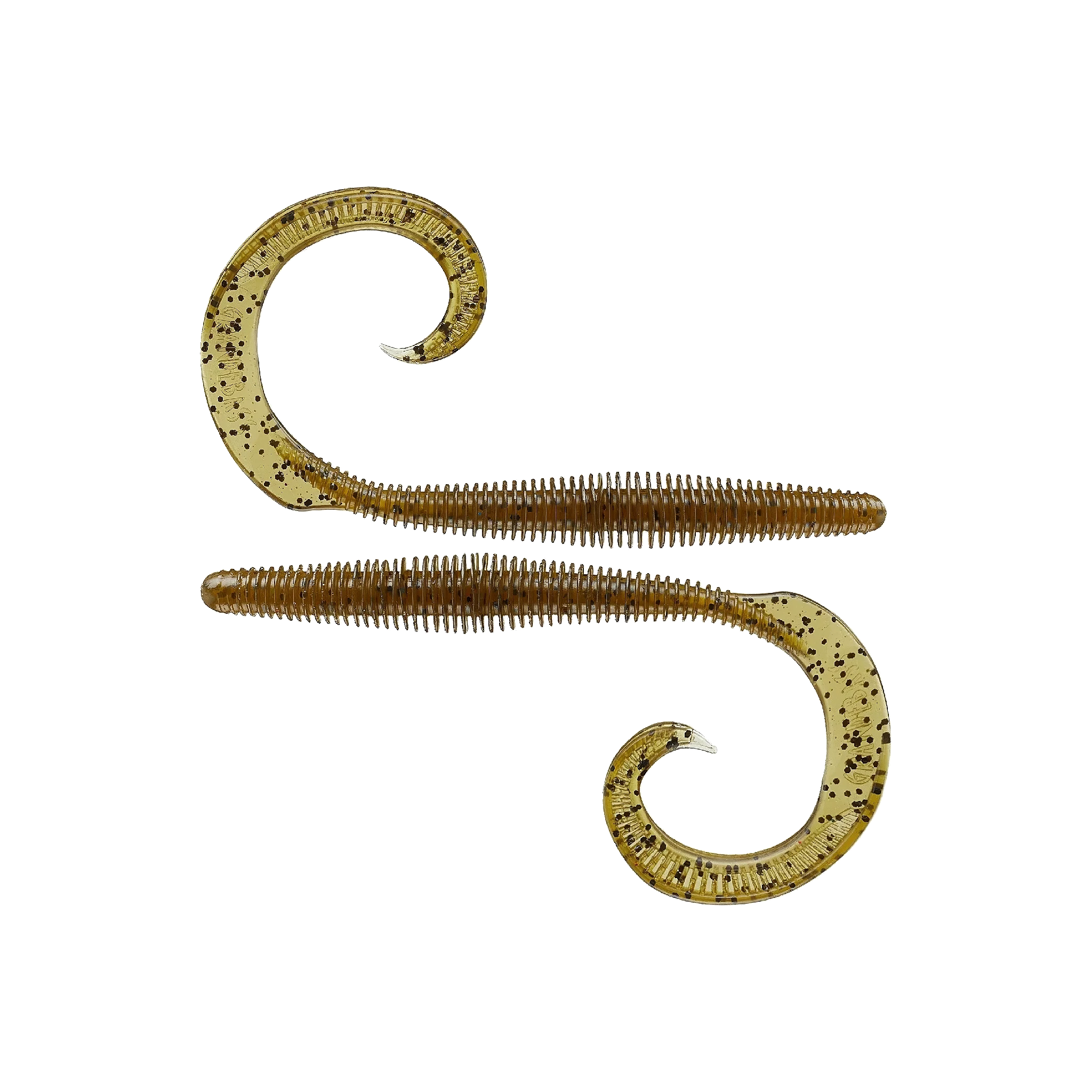 Megatail Rattlesnake