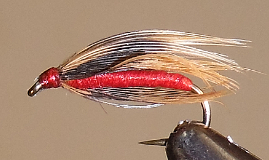Tétras à collier mou
