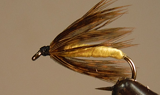 Tétras à collier mou