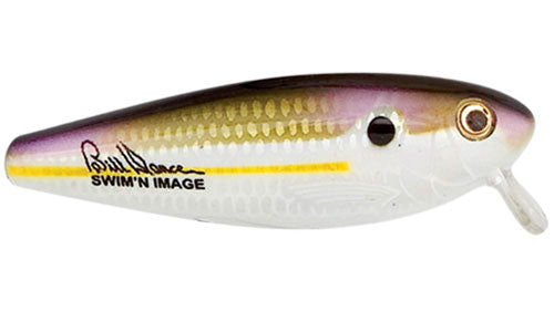 Heddon Swim'n Image Topwater Lure Bobber Bargain