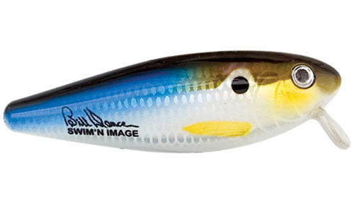 Heddon Swim'n Image Topwater Lure Bobber Bargain