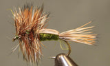 Humpy - 8 couleurs
