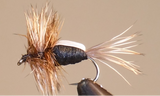 Humpy - 8 couleurs