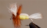 Humpy - 8 couleurs
