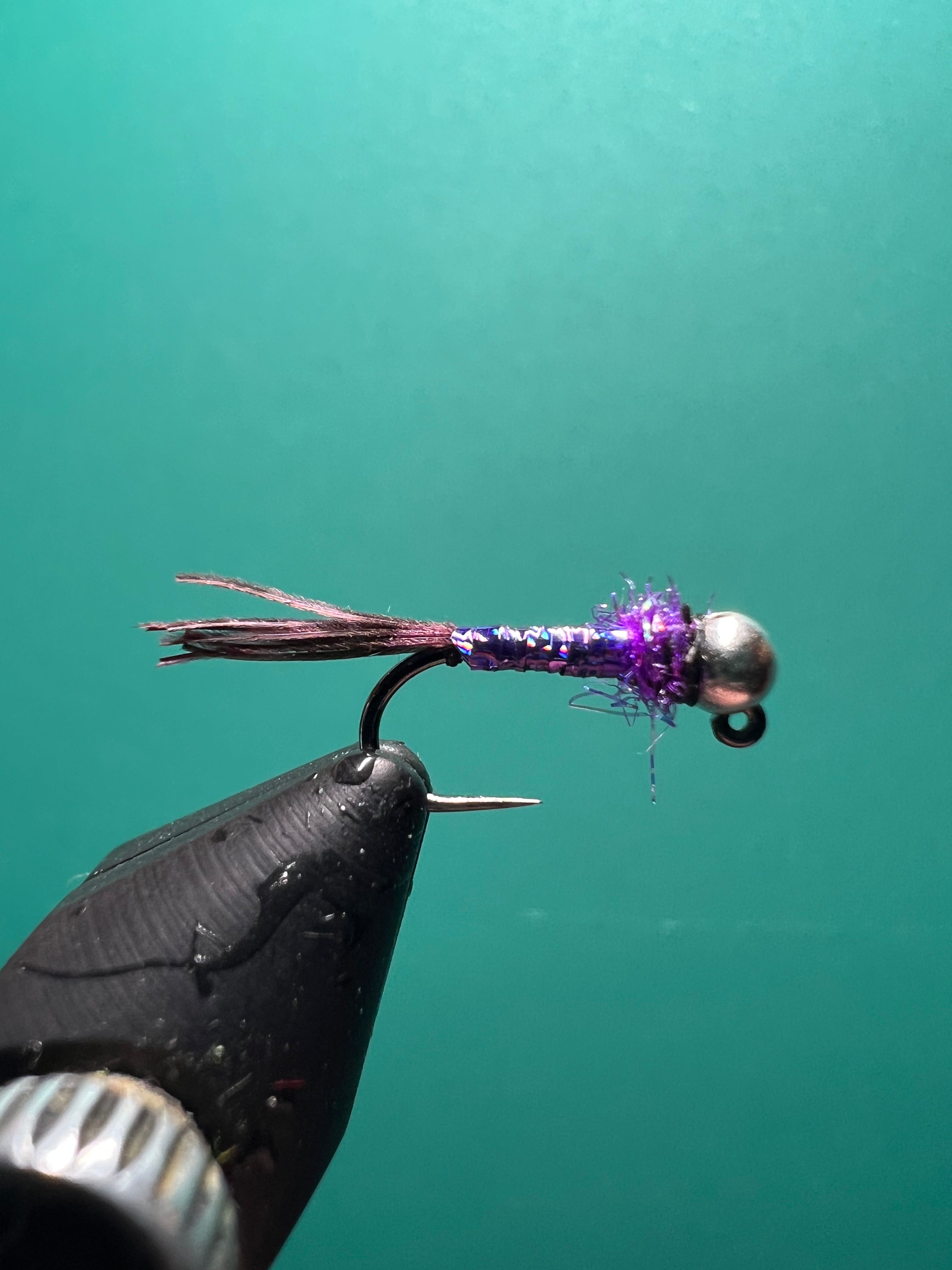 Rainbow Warrior - Violet