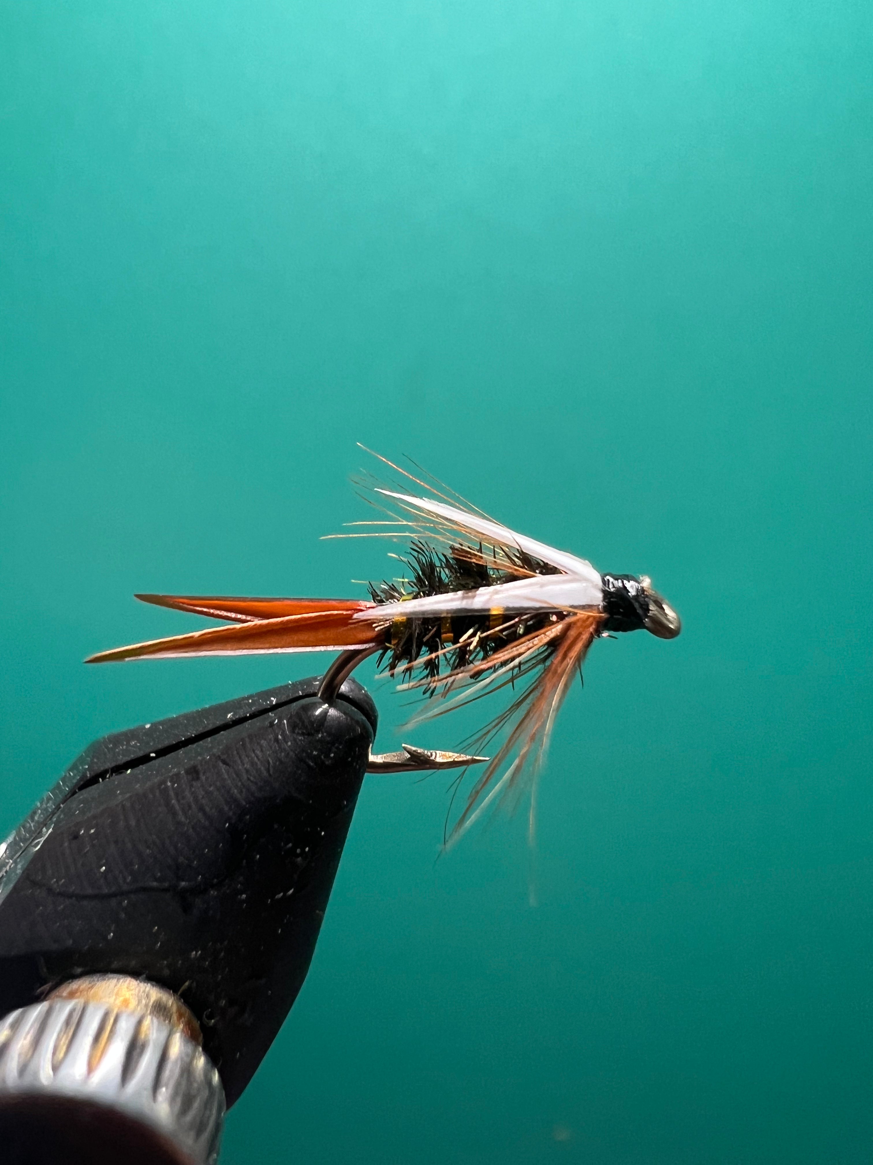 Prince Nymph