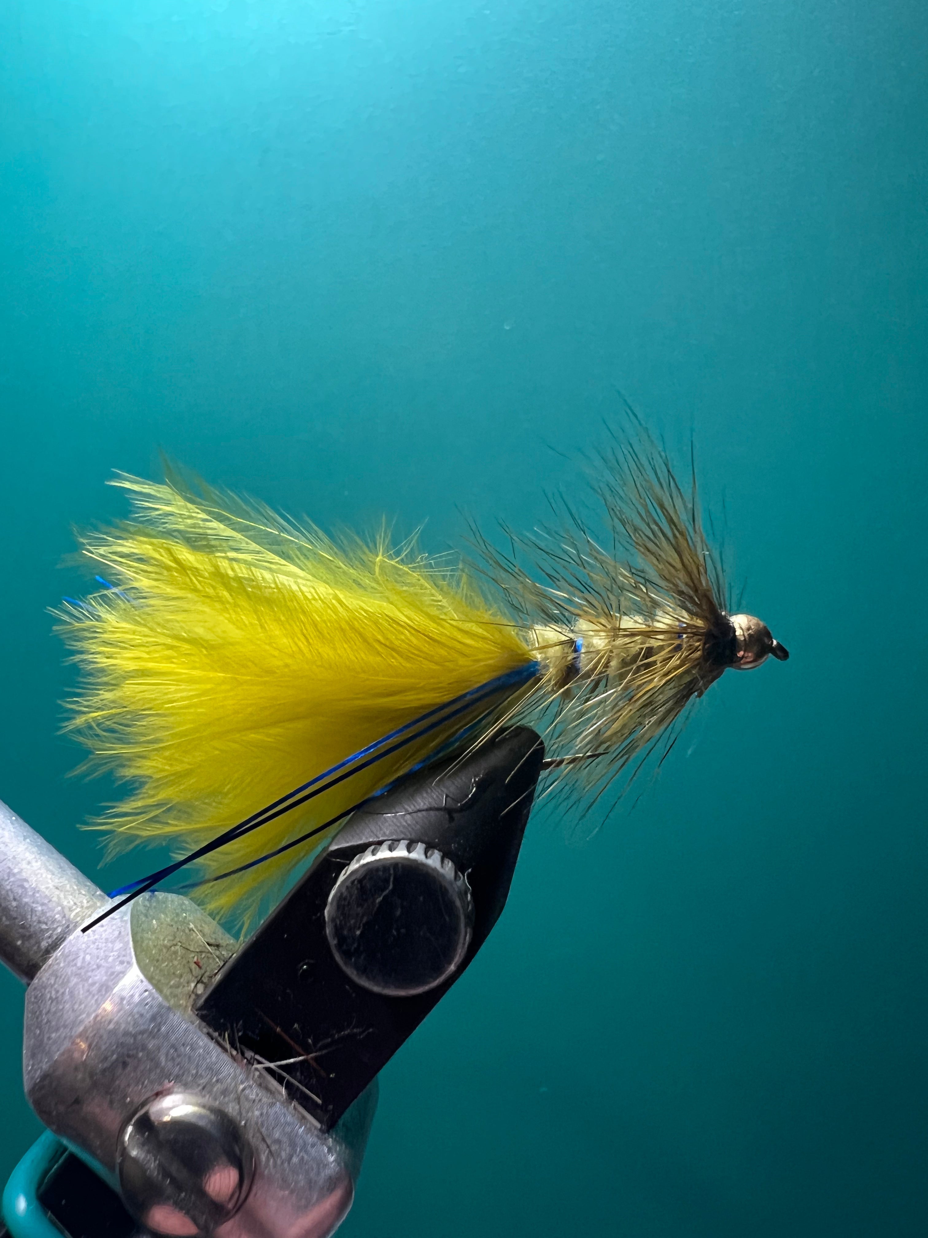 Nymphe demoiselle