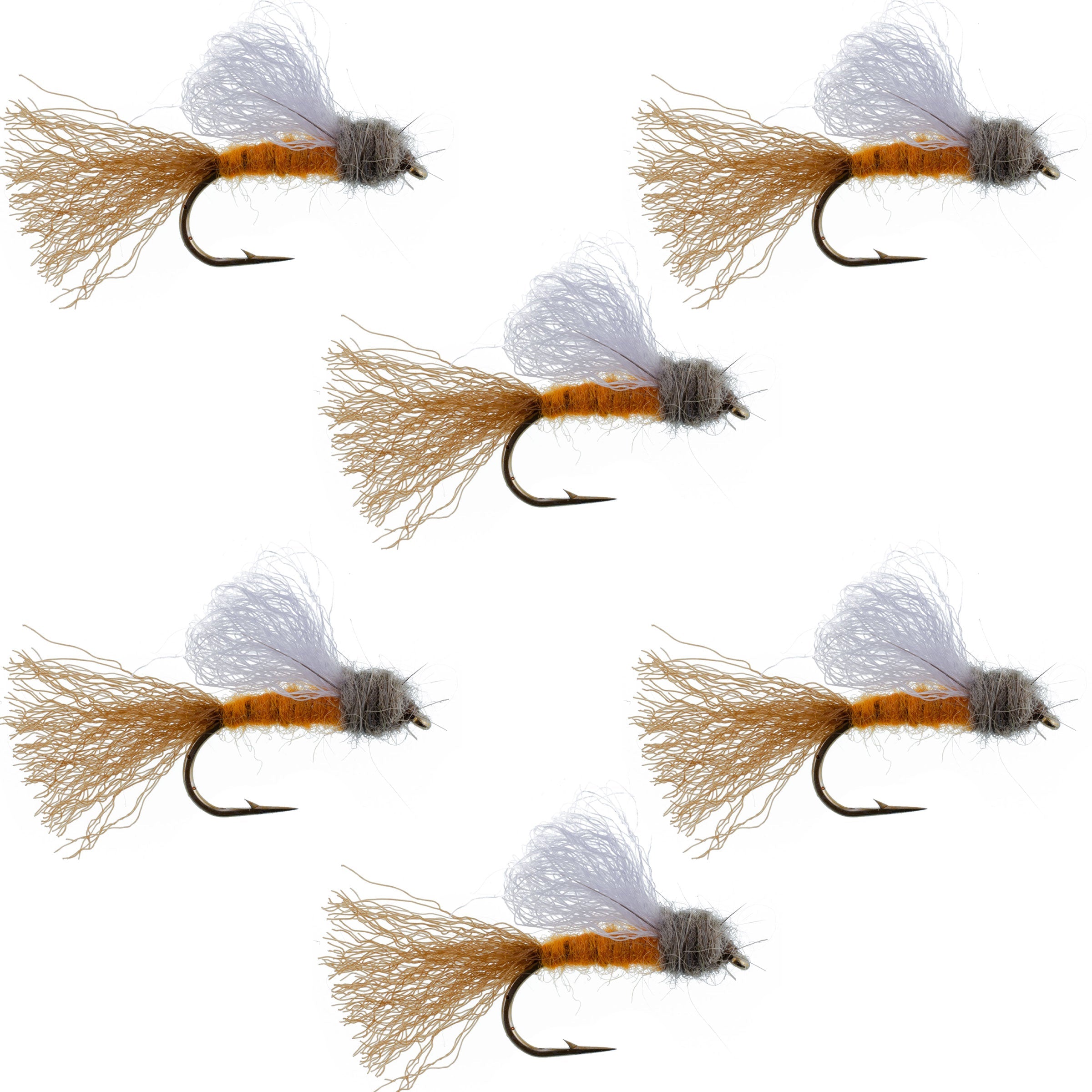 Orange Iris October Caddis Emerger Caddis Mouche Sèche à Truite - 6 Mouches Taille d'Hameçon 8