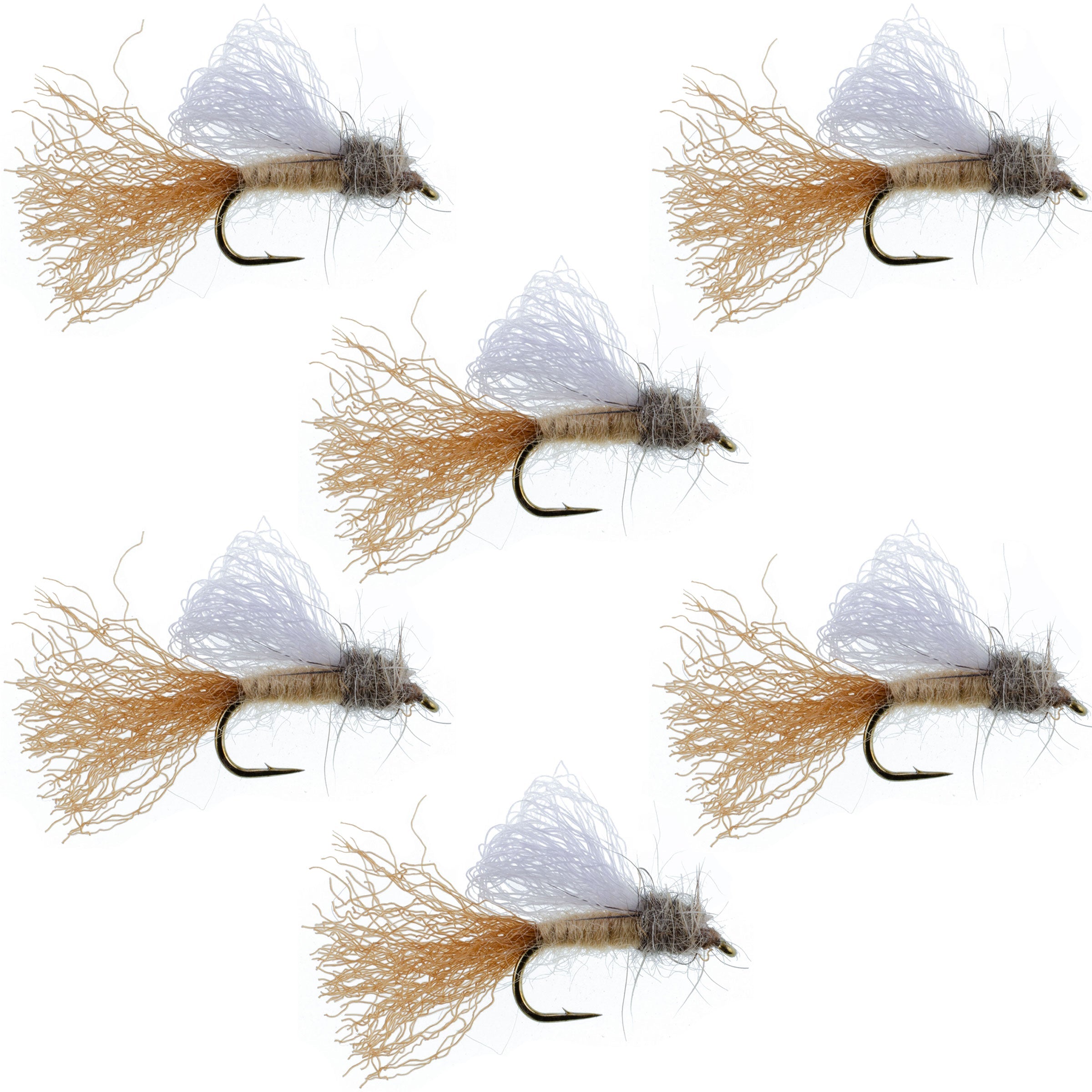 Sedge émergente couleur tan, Sedge sèche pour la truite - 6 mouches, taille d'hameçon 16