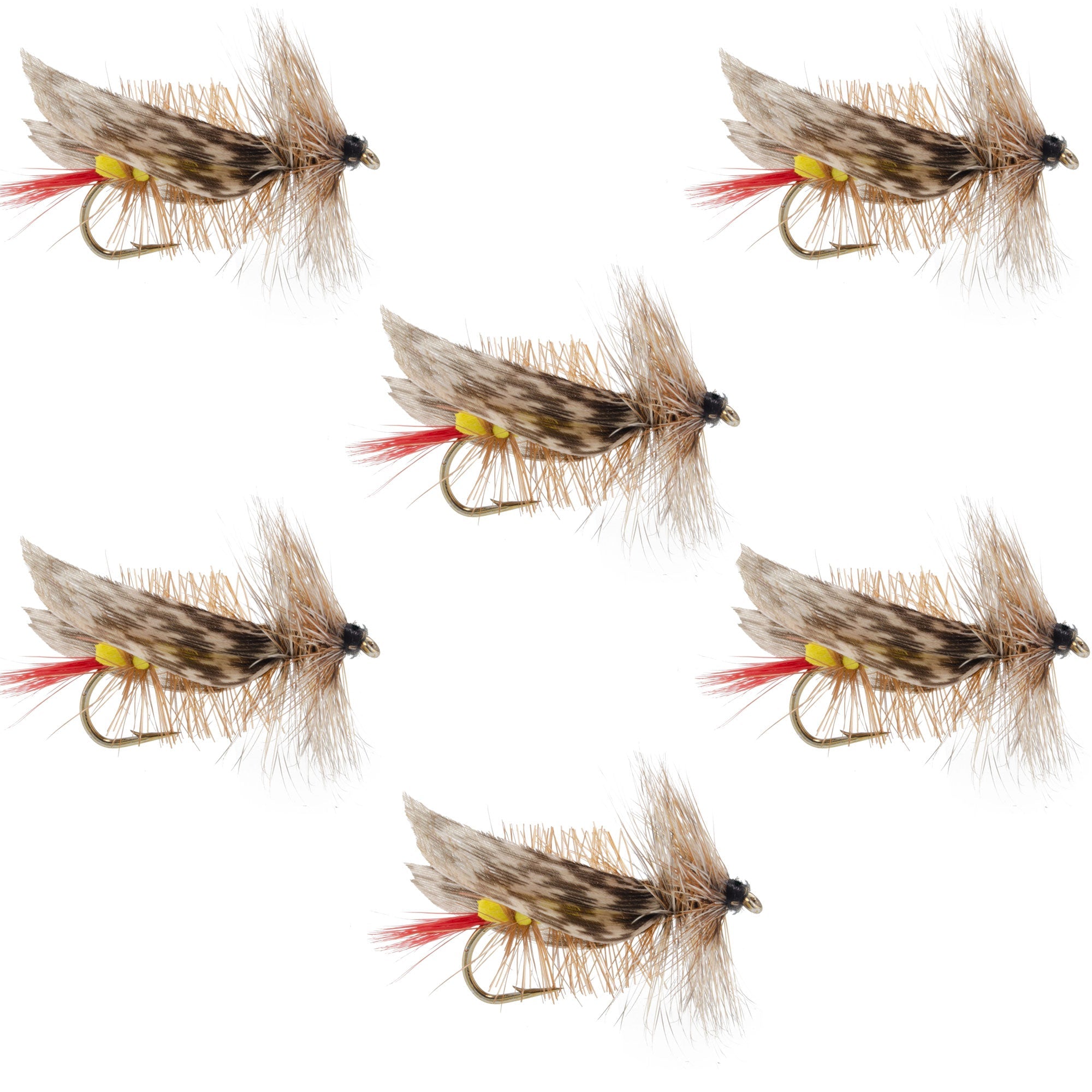 Mouche sauterelle en mousse jaune Joe's Hopper – 6 mouches, taille d'hameçon 10