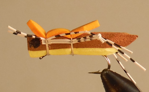 Sauterelle mauresque