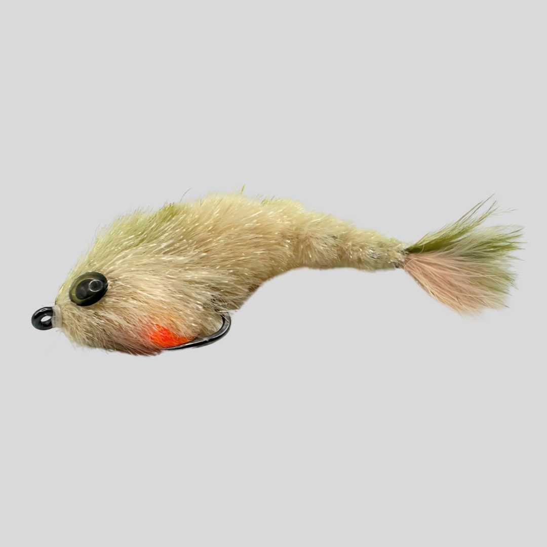 Siguiente cambio de Minnow - #2