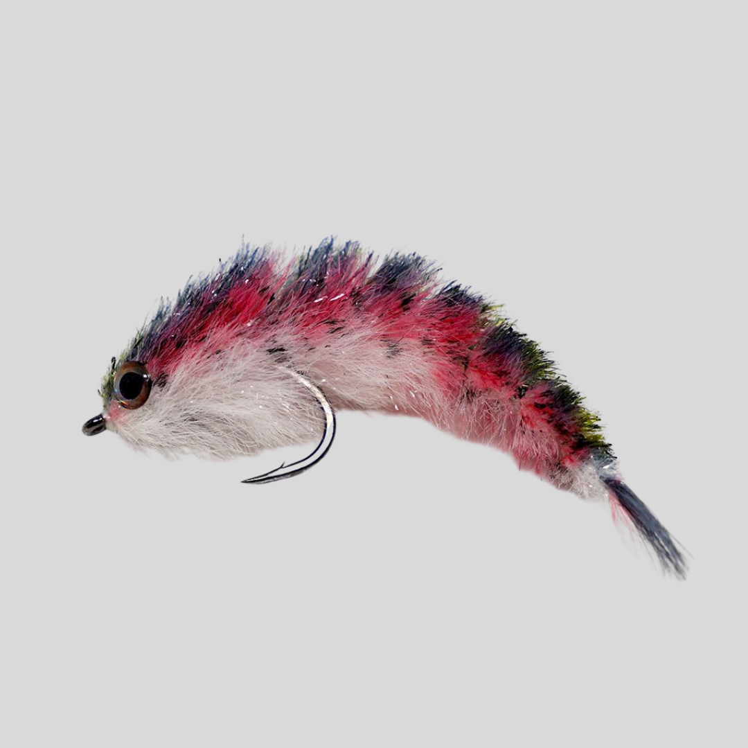 Siguiente Minnow Changer - #6
