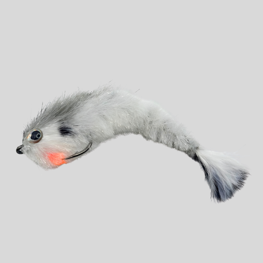 Siguiente cambio de Minnow - #2