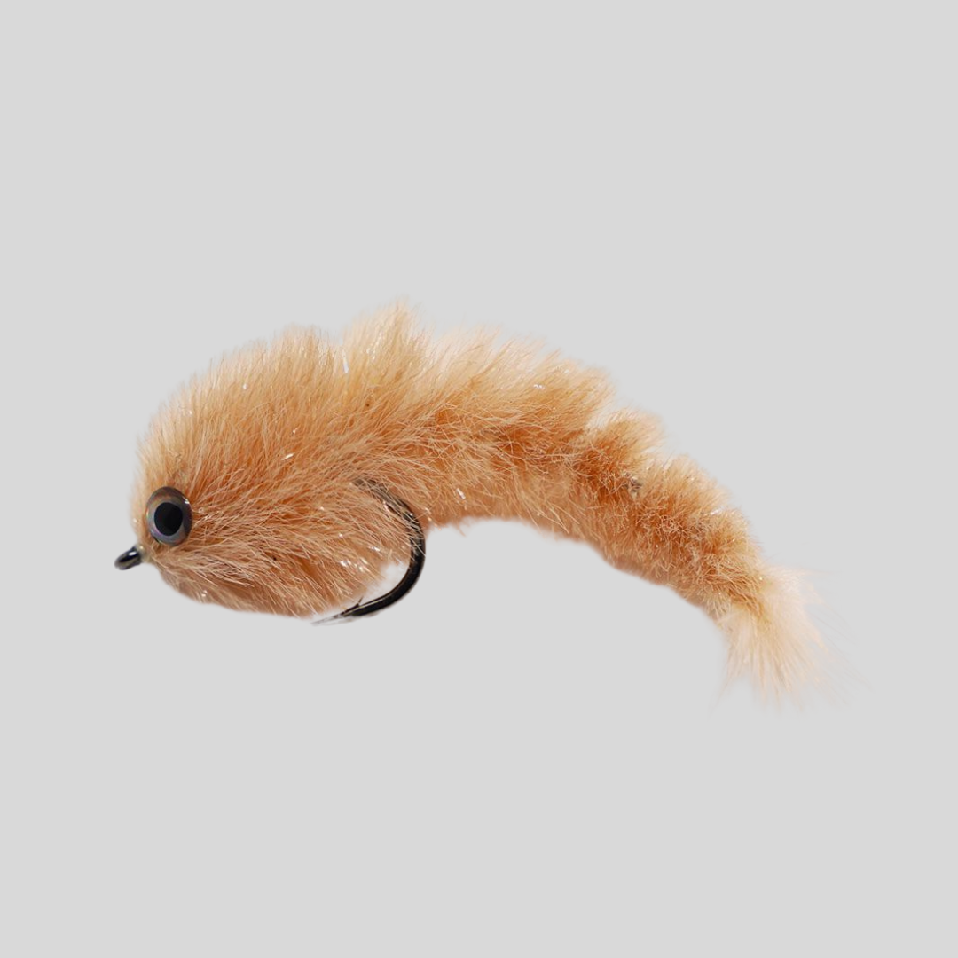 Siguiente Minnow Changer - #6