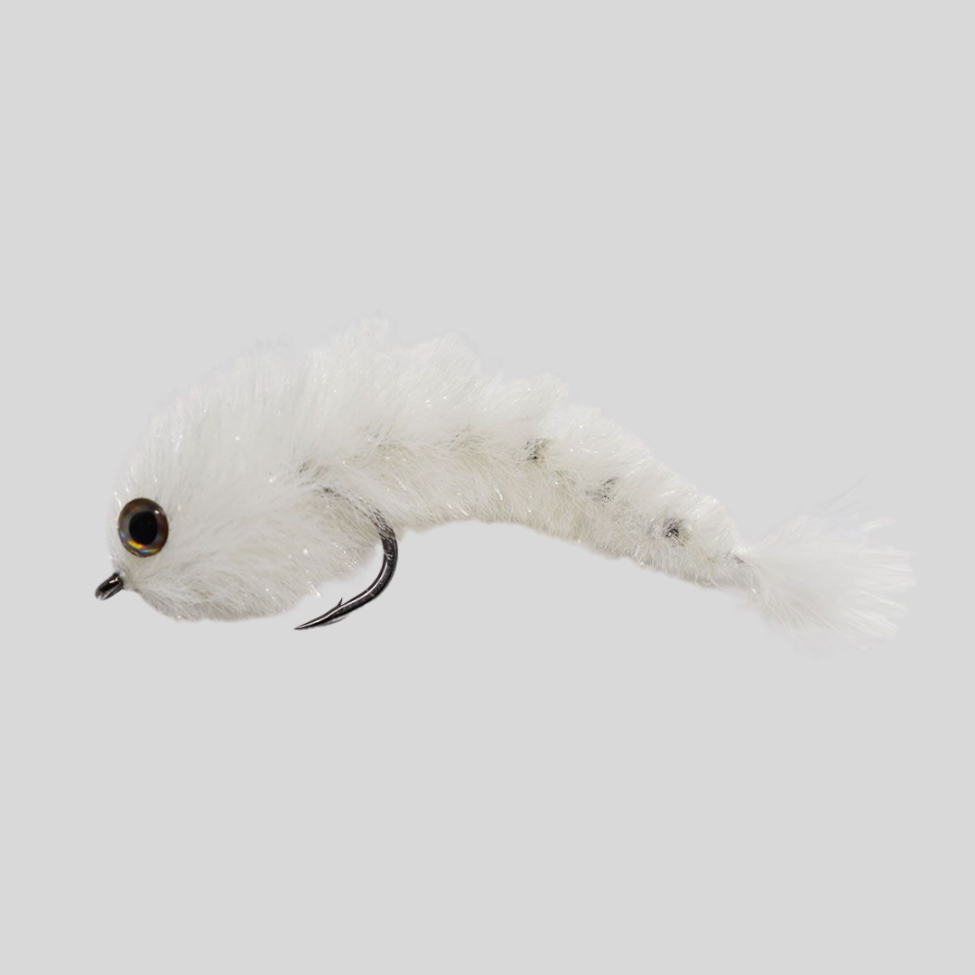 Siguiente cambio de Minnow - #2