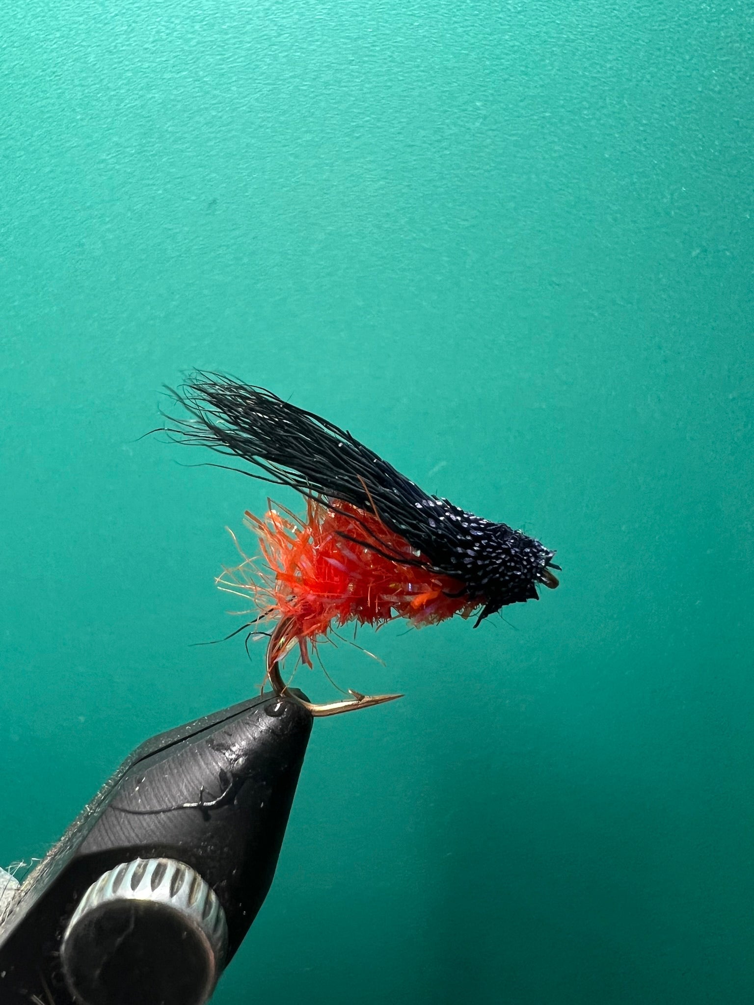 Caddis d'Octobre