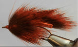 Sangsue écureuil des pins - 4 couleurs