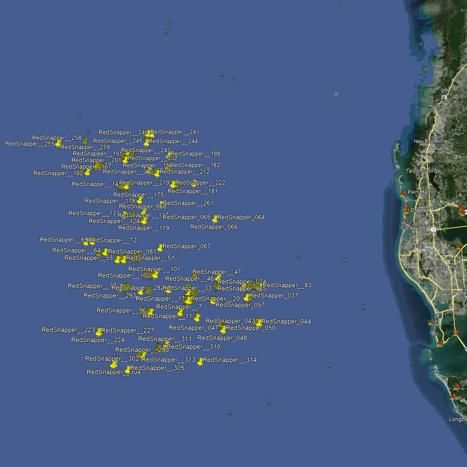 Pinellas Red Snapper Fishing Spots - Offshore Numbers
