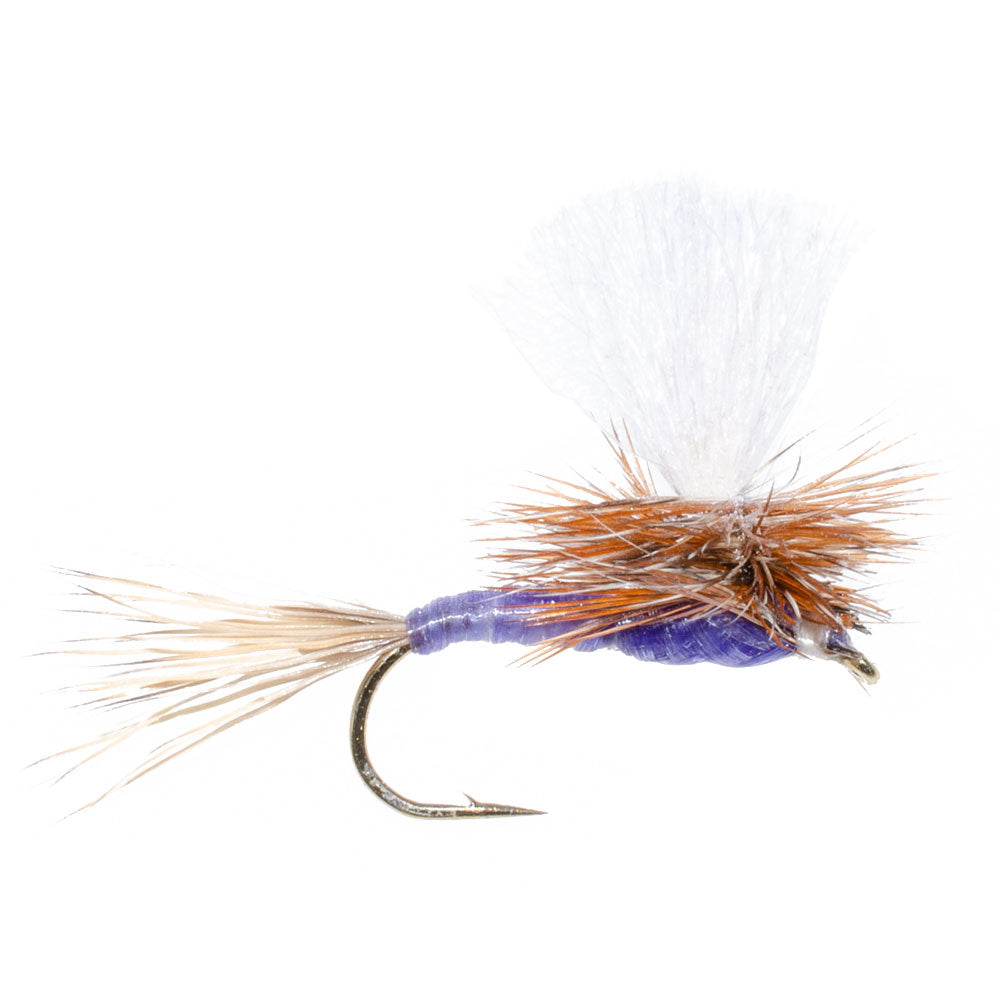 Parachute Purple Haze Mouche Sèche - 12 Mouches Taille 16