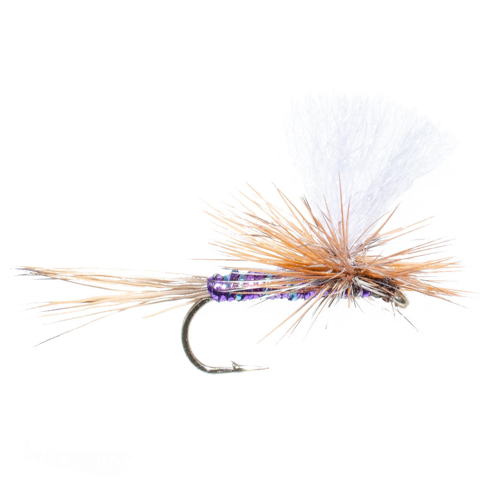 Parachute Super Flash Purple Haze Mouche Sèche - 12 Mouches Taille 18