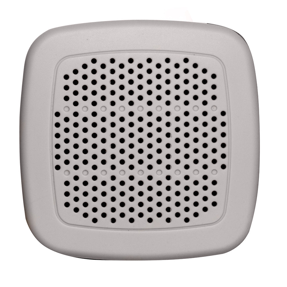 Poly-Planar Spa Speaker (Rectangular, 35W) Bobber Bargain