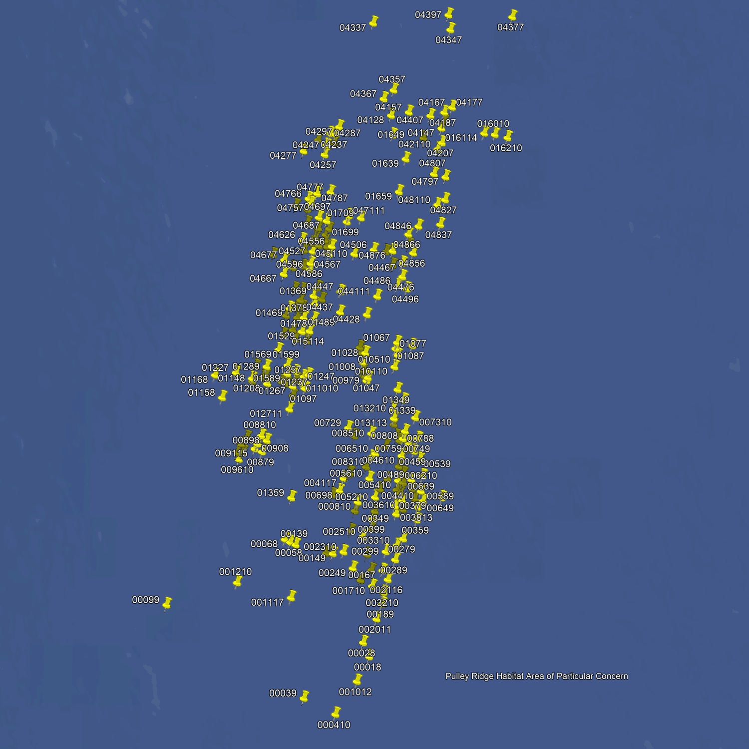 Pulley Ridge Fishing Spots - GPS Maps & Numbers
