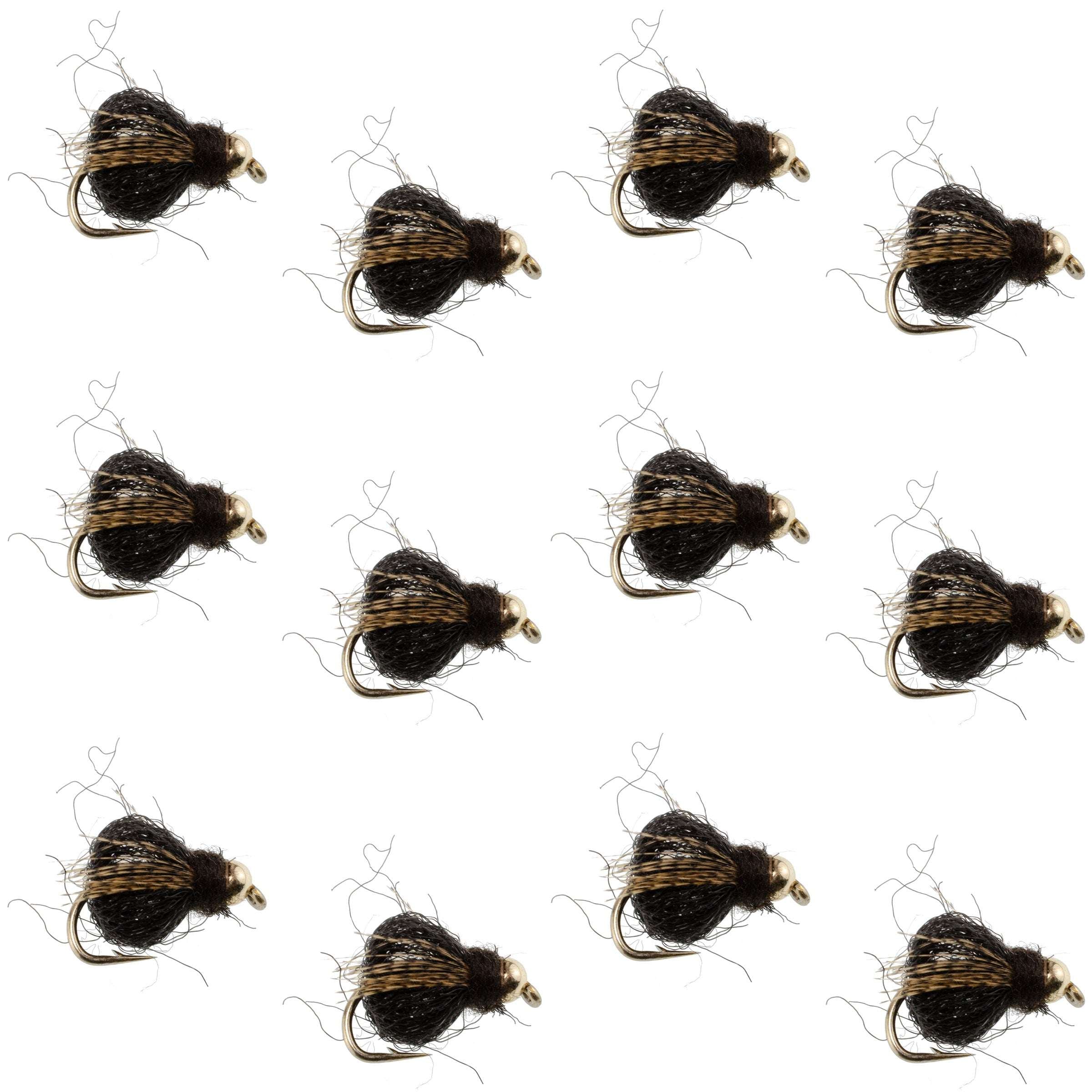 LaFontaine Black Deep Sparkle Caddis Pupa con Cabeza Lastrada - 12 Moscas Tamaño 16