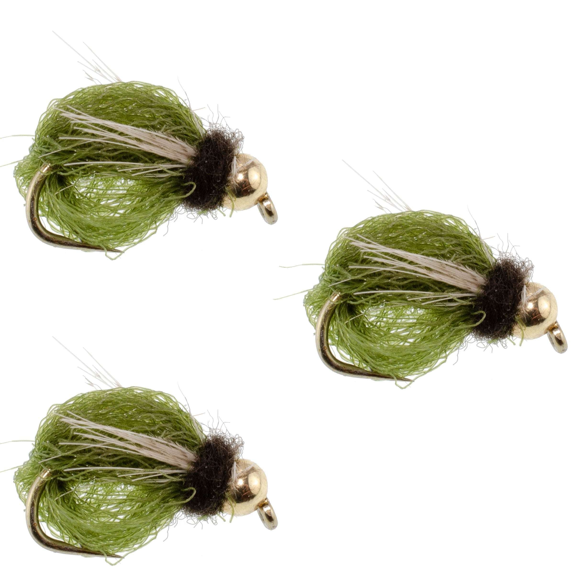 Pack de 3 ninfas de LaFontaine Olive Deep Sparkle Caddis con cabeza de tungsteno - Talla 18