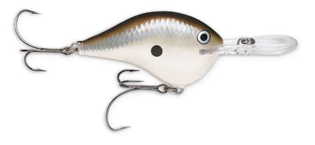 Rapala DT 20' Series Crankbaits Bobber Bargain