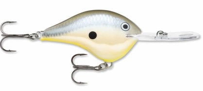 Rapala DT 20' Series Crankbaits Bobber Bargain