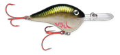 Rapala DT 20' Series Crankbaits Bobber Bargain