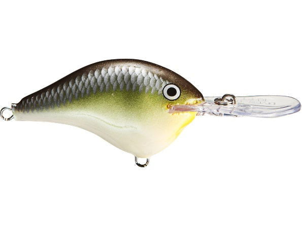 Rapala DT Series 16 Crankbait (Ike) Bobber Bargain